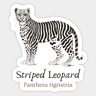 Striped Leopard - Cryptozoology - Retro & Fun Sticker